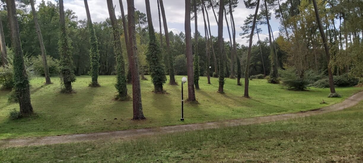 Camping Parc Du Val De L'eyre - Bild 6 Camping Parc Du Val De L'eyre - Bild 6