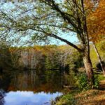 Camping Parc Du Val De L'eyre - Bild 8 Camping Parc Du Val De L'eyre - Bild 8