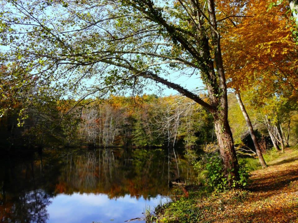 Camping Parc Du Val De L'eyre - Bild 8 Camping Parc Du Val De L'eyre - Bild 8