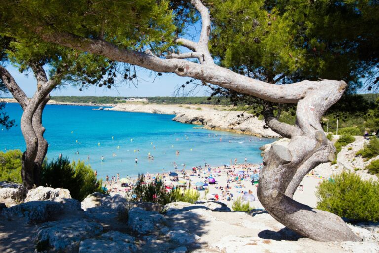 Camping Pascalounet - Bild 10 Camping Pascalounet - Bild 10