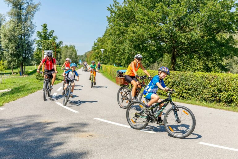 Camping & Pension Au An Der Donau - Bild 12