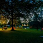 Camping & Pension Au An Der Donau - Bild 17