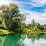 Camping & Pension Au An Der Donau - Bild 4