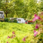 Camping & Pension Au An Der Donau - Bild 8