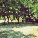 Camping Peros - Bild 9