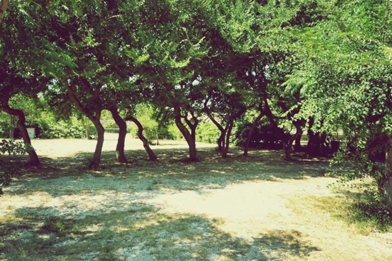 Camping Peros - Bild 9