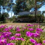 Camping Pila - Bild 11