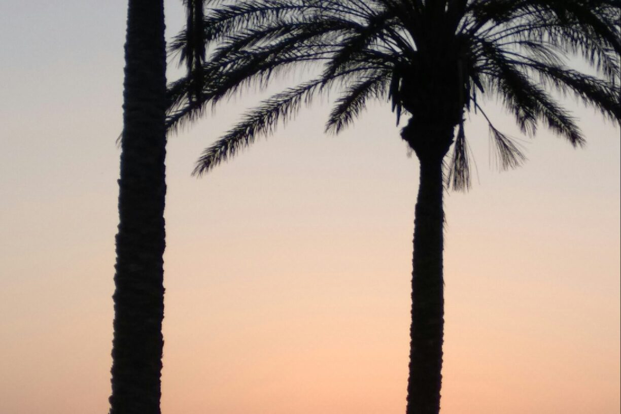 Camping Playa De Poniente - Bild 6 Camping Playa De Poniente - Bild 6