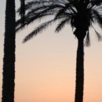 Camping Playa De Poniente - Bild 6 Camping Playa De Poniente - Bild 6