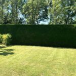 Camping Plein Sud - Bild 11