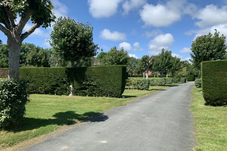 Camping Plein Sud - Bild 4