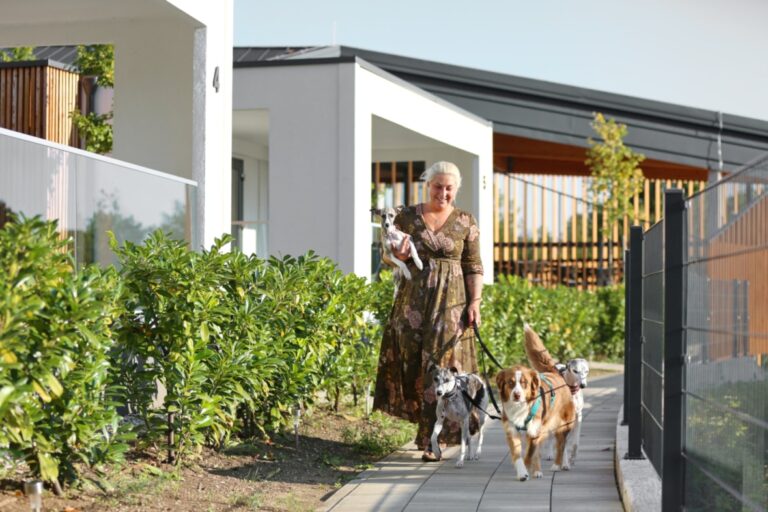 Camping Plitvice - Bild 17 Camping Plitvice - Bild 17