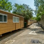 Camping Presa La Viñuela - Bild 4