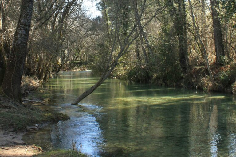 Camping Puente De Las Herrerias - Bild 2