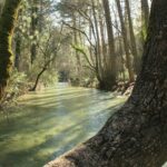 Camping Puente De Las Herrerias - Bild 5