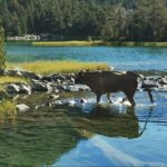 Camping Pyrénées Natura - Bild 15 Camping Pyrénées Natura - Bild 15