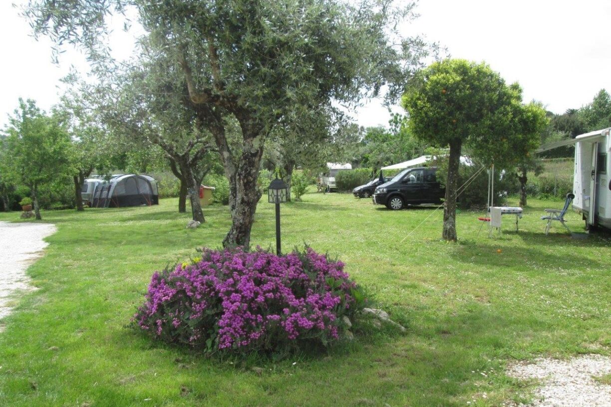 Camping Quinta Da Cerejeira - Bild 15 Camping Quinta Da Cerejeira - Bild 15