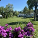 Camping Quinta Da Cerejeira - Bild 2 Camping Quinta Da Cerejeira - Bild 2