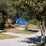 Camping Quinta Da Cerejeira - Bild 6 Camping Quinta Da Cerejeira - Bild 6