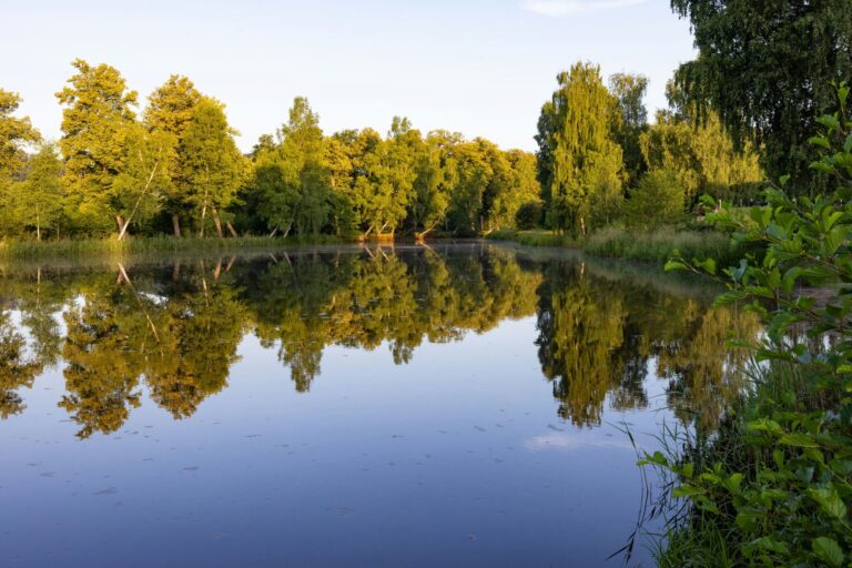 Camping Ramstein Plage - Bild 6