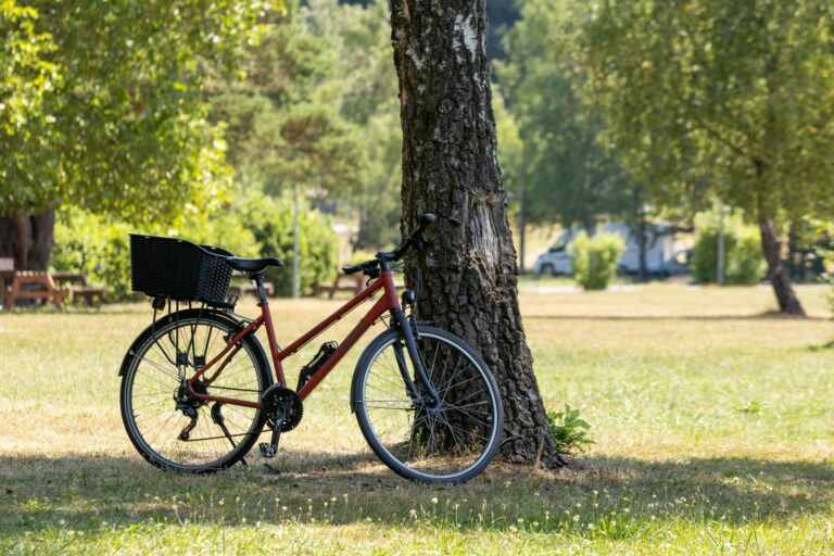 Camping Ramstein Plage - Bild 9