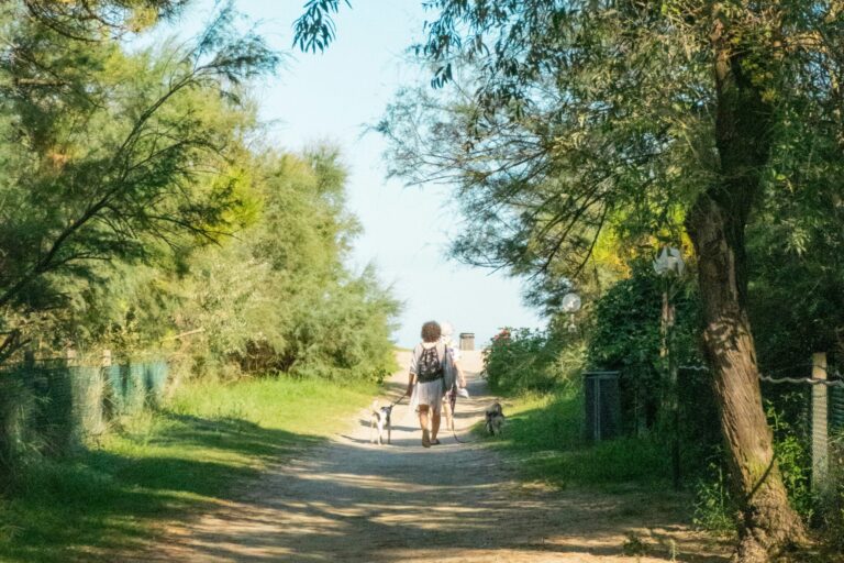 Camping Reno - Bild 3