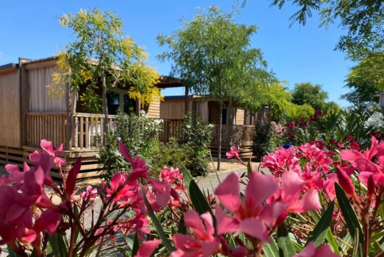 Camping Resort Els Pins - Bild 5 Camping Resort Els Pins - Bild 5