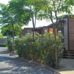 Camping Resort Els Pins - Bild 1 Camping Resort Els Pins - Bild 1