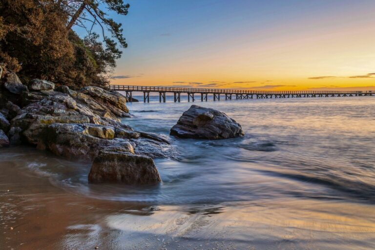 Camping Resort La Forêt - Bild 2