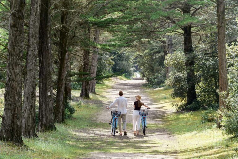 Camping Resort La Forêt - Bild 20