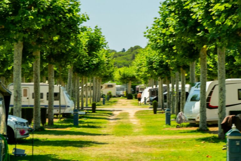 Camping Riembau - Bild 1 Camping Riembau - Bild 1