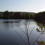 Camping Risle Et Seine - Bild 3