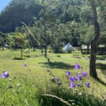 Camping River - Bild 3