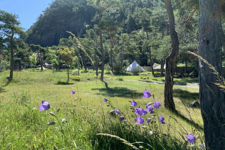 Camping River - Bild 3