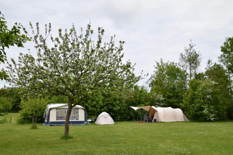 Camping Robersum - Bild 4