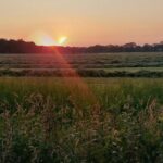 Camping Roderveld - Bild 10