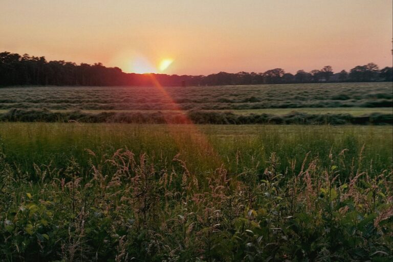 Camping Roderveld - Bild 10