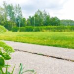 Camping Roderveld - Bild 8