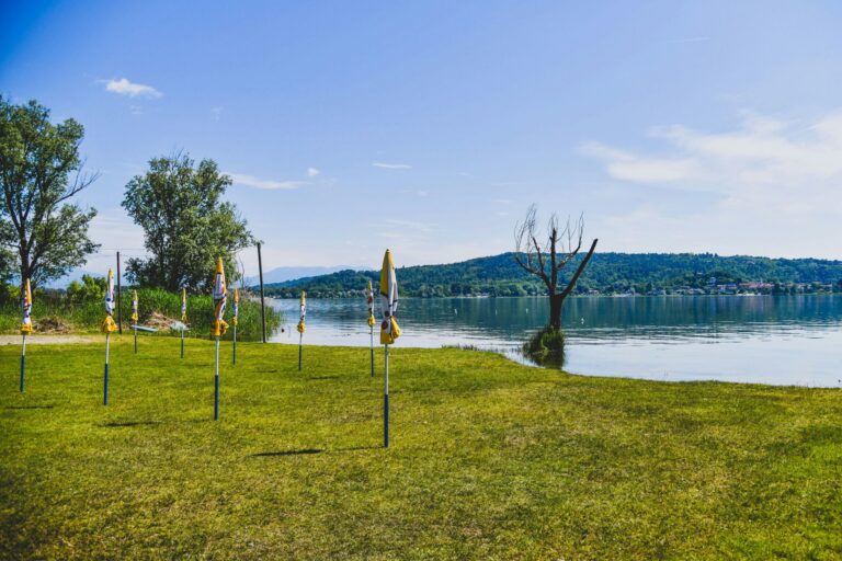 Camping Rose - Bild 16