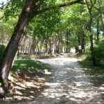 Camping Saint Sauvayre - Bild 1 Camping Saint Sauvayre - Bild 1