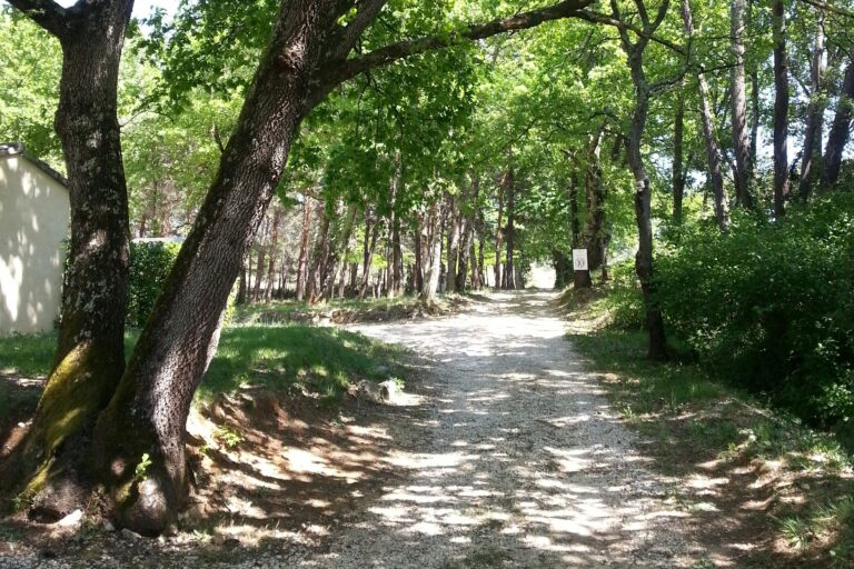 Camping Saint Sauvayre - Bild 1