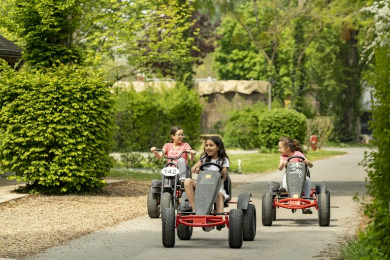 Camping Sandaya Château Des Marais - Bild 11