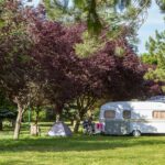 Camping Sandaya La Ribeyre - Bild 4