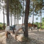 Camping Sandaya Soustons Village - Bild 16