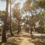 Camping Santa Elena - Bild 8