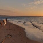 Camping S'ena Arrubia - Bild 17