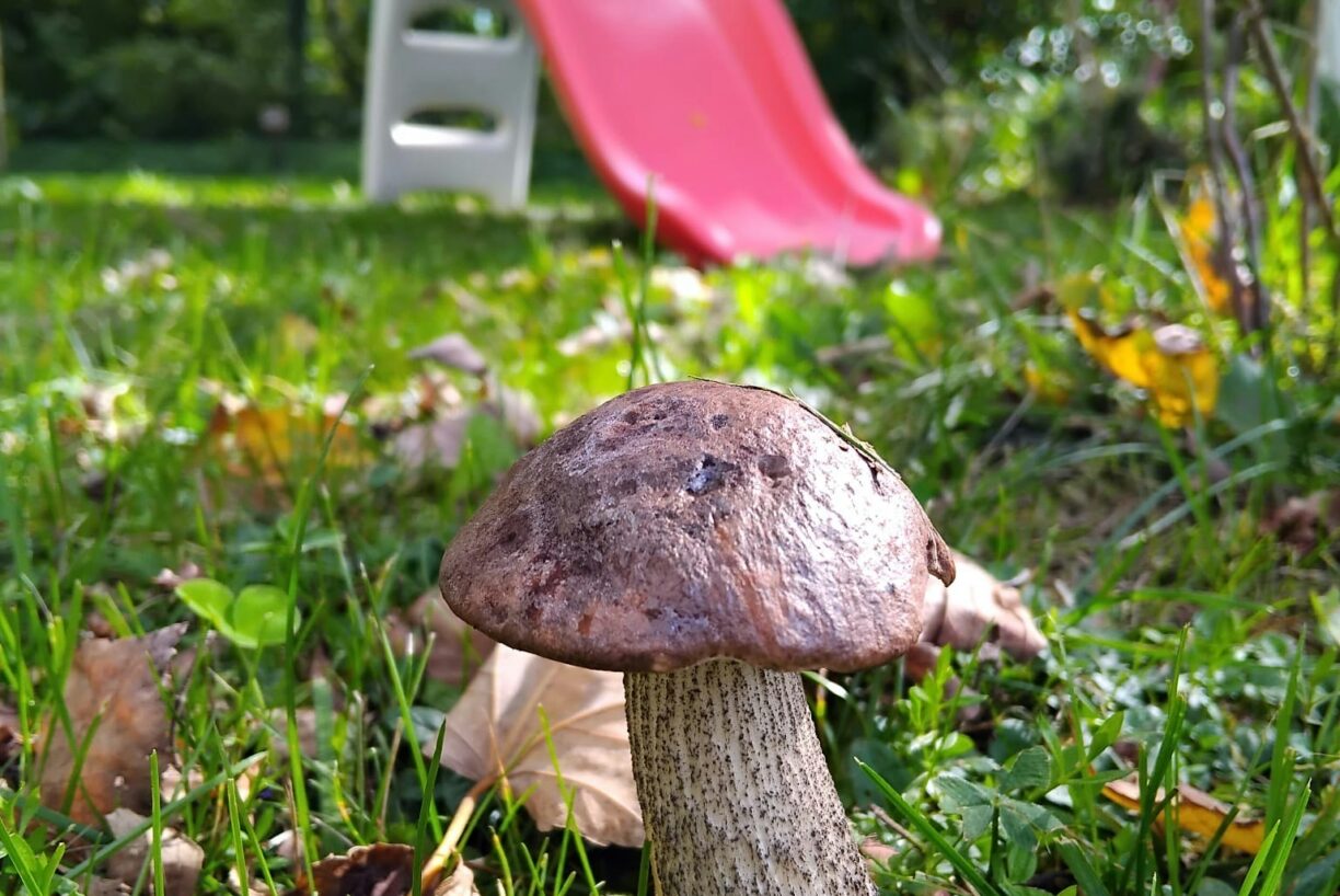 Camping Sauxillanges L'eau Mère - Bild 16 Camping Sauxillanges L'eau Mère - Bild 16