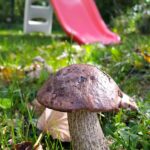 Camping Sauxillanges L'eau Mère - Bild 16 Camping Sauxillanges L'eau Mère - Bild 16