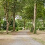 Camping Seasonova Du Chene - Bild 8