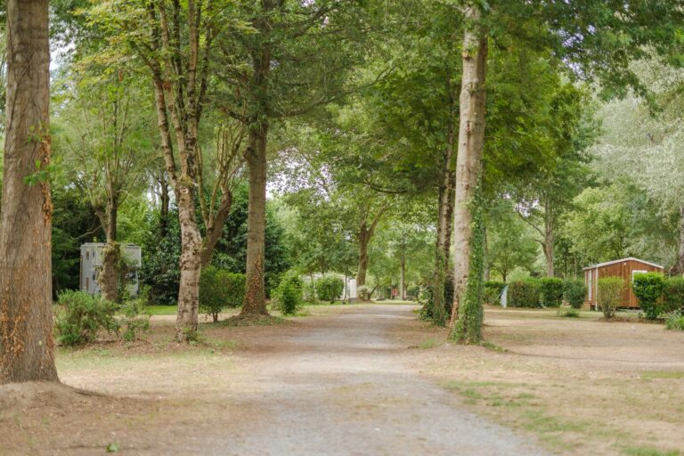 Camping Seasonova Du Chene - Bild 8